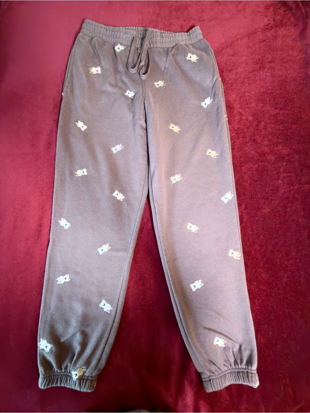 Women’s Cozy Bear Embroidered Jogger Pants - Brown Sz M
